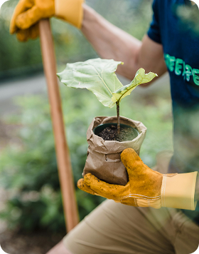 Sobre nosotros - Imagen 4