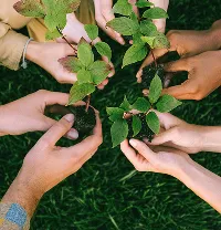 La conexión entre el conocimiento técnico-científico y la acción